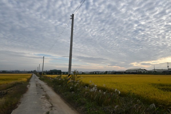 thumb4d9787f23a8af3243a4118c065c44a31_1672722175_0122.JPG