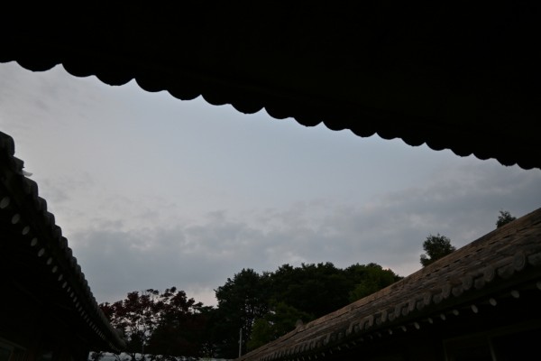 thumb4d9787f23a8af3243a4118c065c44a31_1672748189_3861.JPG